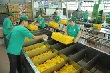 Giá cao su kỳ hạn tại Tokyo ngày 18/5 tăng do giá dầu tăng